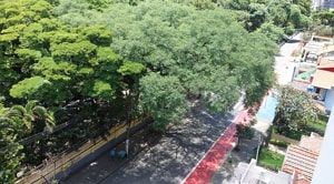 Apartamento na Água Branca