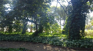 Apartamento na Vila Maria