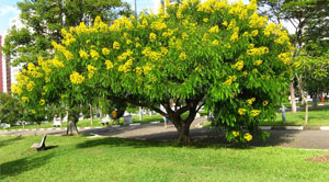 Parque CERET