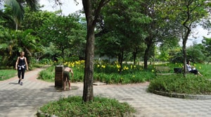 Apartamento Vila Guilherme