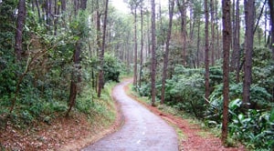 parque Lina e Paulo Raia