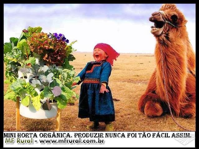 Como usar silicio organico para adelgazar Como usar silicio organico para adelgazar