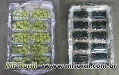 Uvas Distribuidor