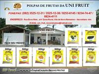 Polpas de Frutas
