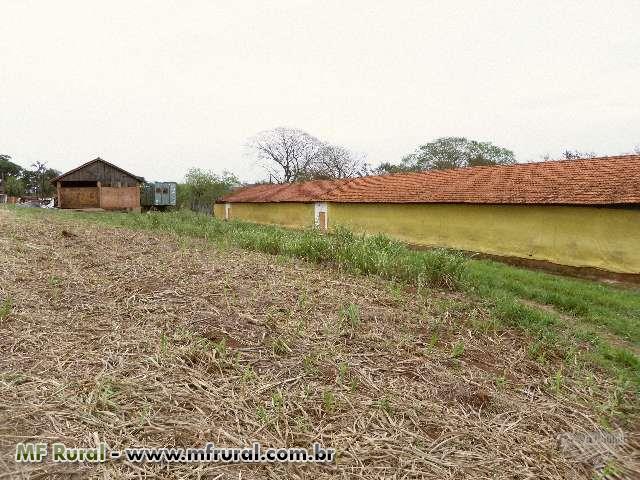 Sitio Em Pirassununga Em Pirassununga Sp A Venda Compre Direto 160293