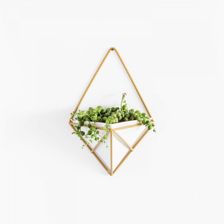 Colgante de Muro – Modelo B – Dorado Mate