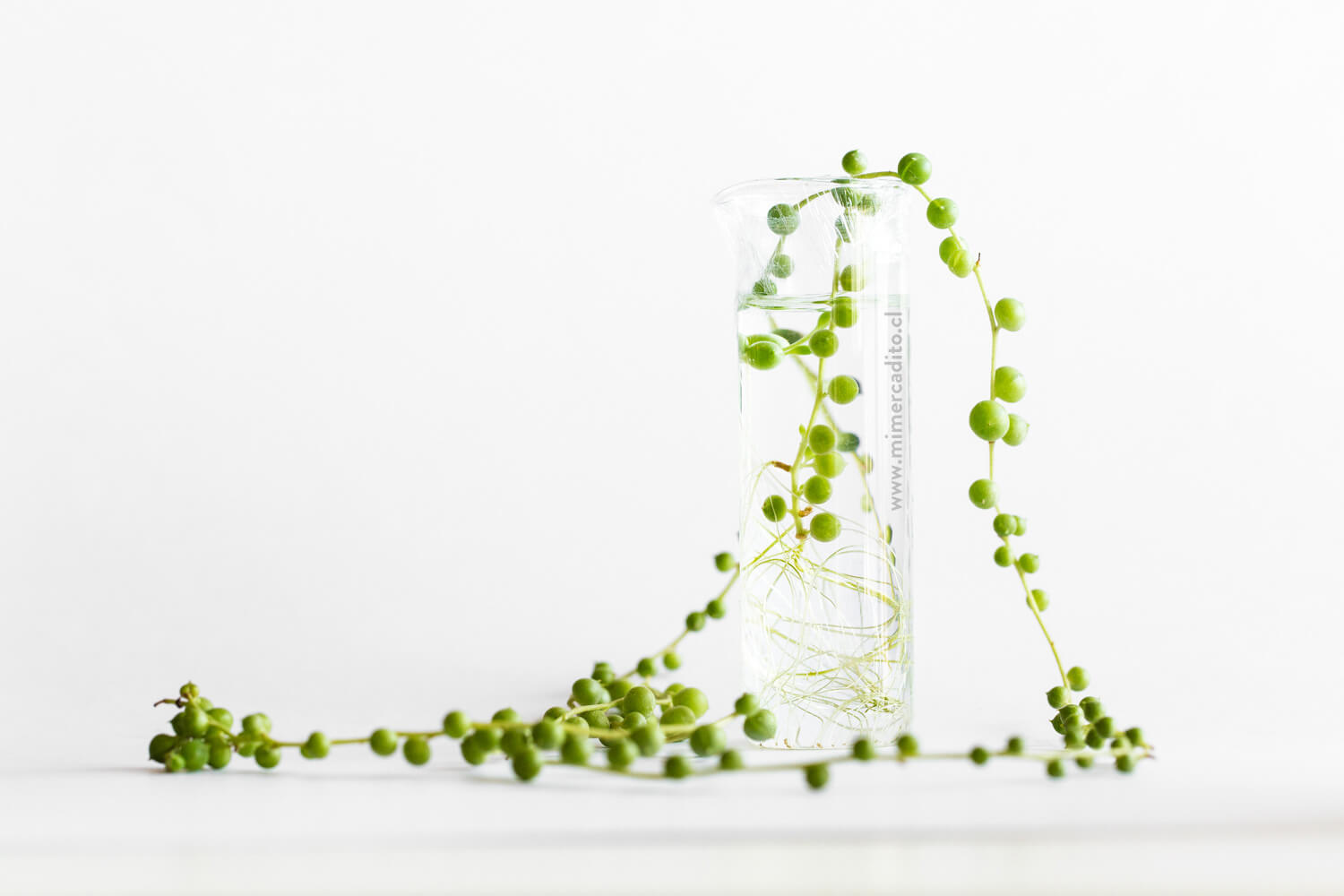 Propagación de especies por agua