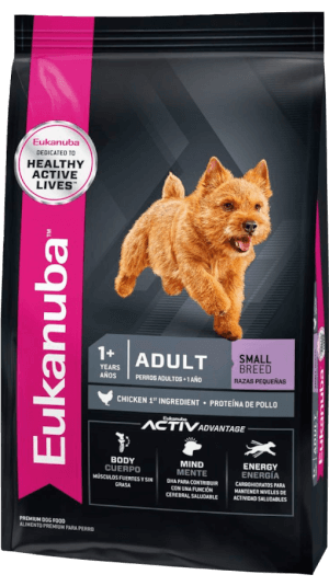 eukanuba adult small