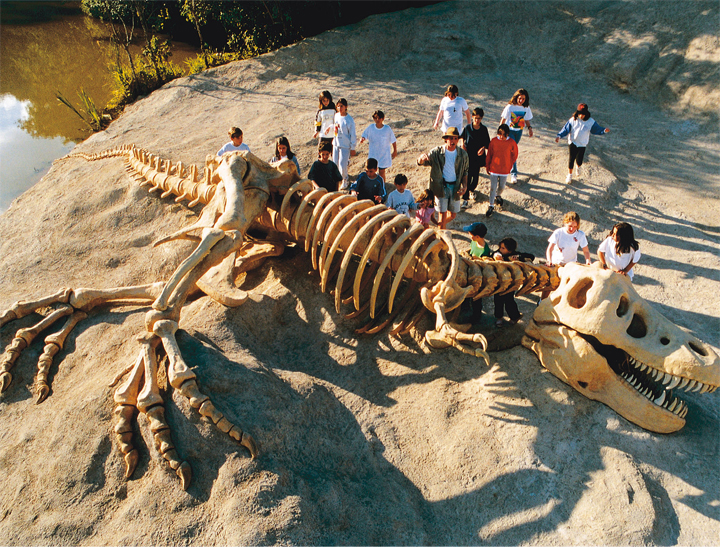 Explorando o Tiranossauro Rex todos se sentem verdadeiros paleontólogos!