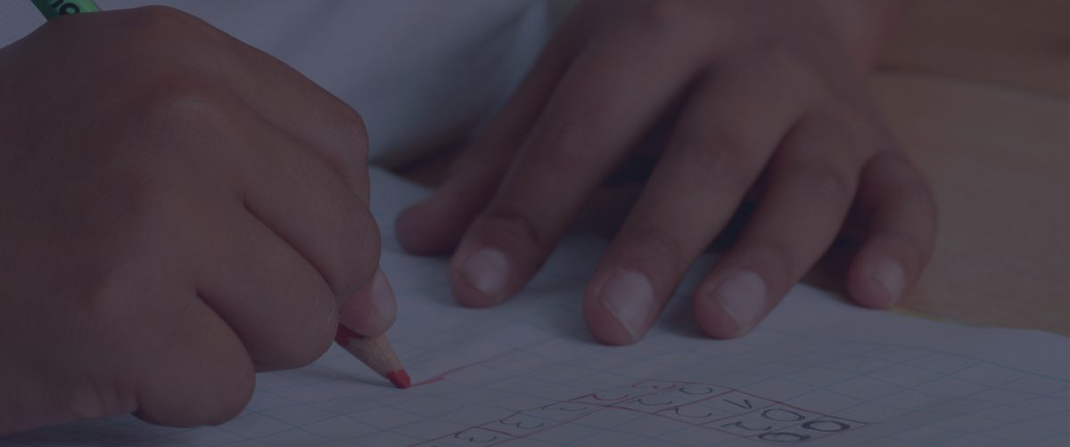 Nova Pioneer's Academic and Learning Design teams collaborated to create educational resources to support remote learning.