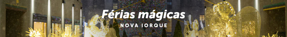 Banner Miolo Viagens
