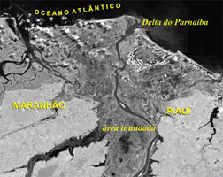 imagem 1 - preto e branco