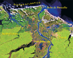 imagem 2 - colorida