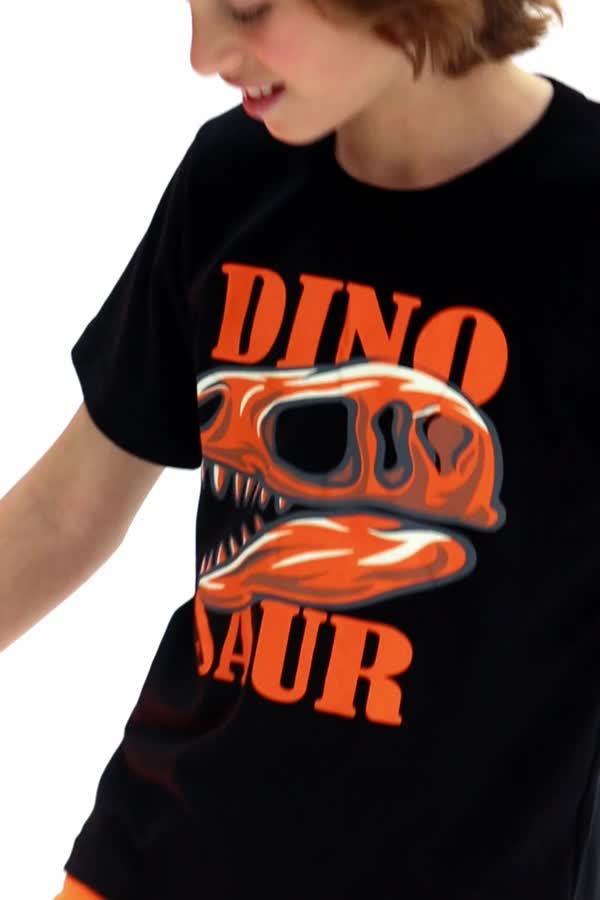 Conjunto Masculino Infantil Fóssil de Dino