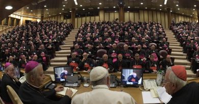 Papa critica atrasos na reforma dos processos de nulidade matrimonial Papa critica atrasos na reforma dos processos de nulidade matrimonial