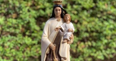 Papa recorda festa de Nossa Senhora do Carmo celebrada hoje Papa recorda festa de Nossa Senhora do Carmo celebrada hoje