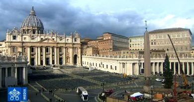 Árvore de Natal do Papa Francisco chega ao Vaticano Árvore de Natal do Papa Francisco chega ao Vaticano