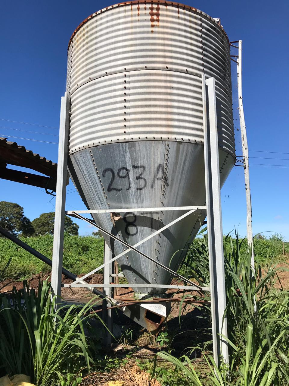 Fazendas Queluz e Serra do Marinheiro realizam liquidação de plantel-1