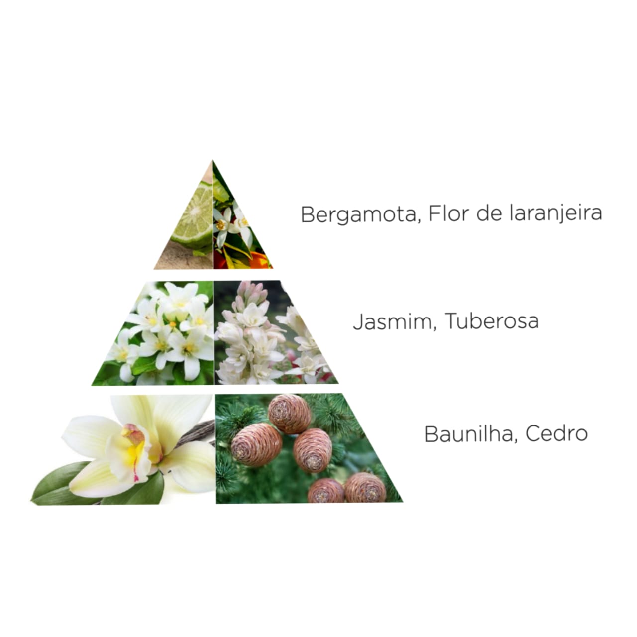 ESSENCIART PERFUME FEMININO EDP SO AMAZING 30ML (POCKET)