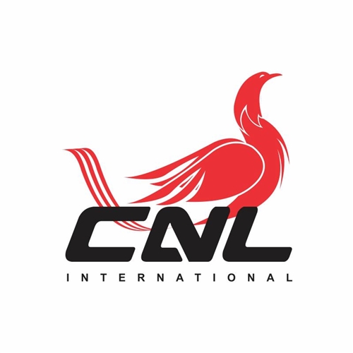 Exemplo de Logo do designer Flauto para CNL International