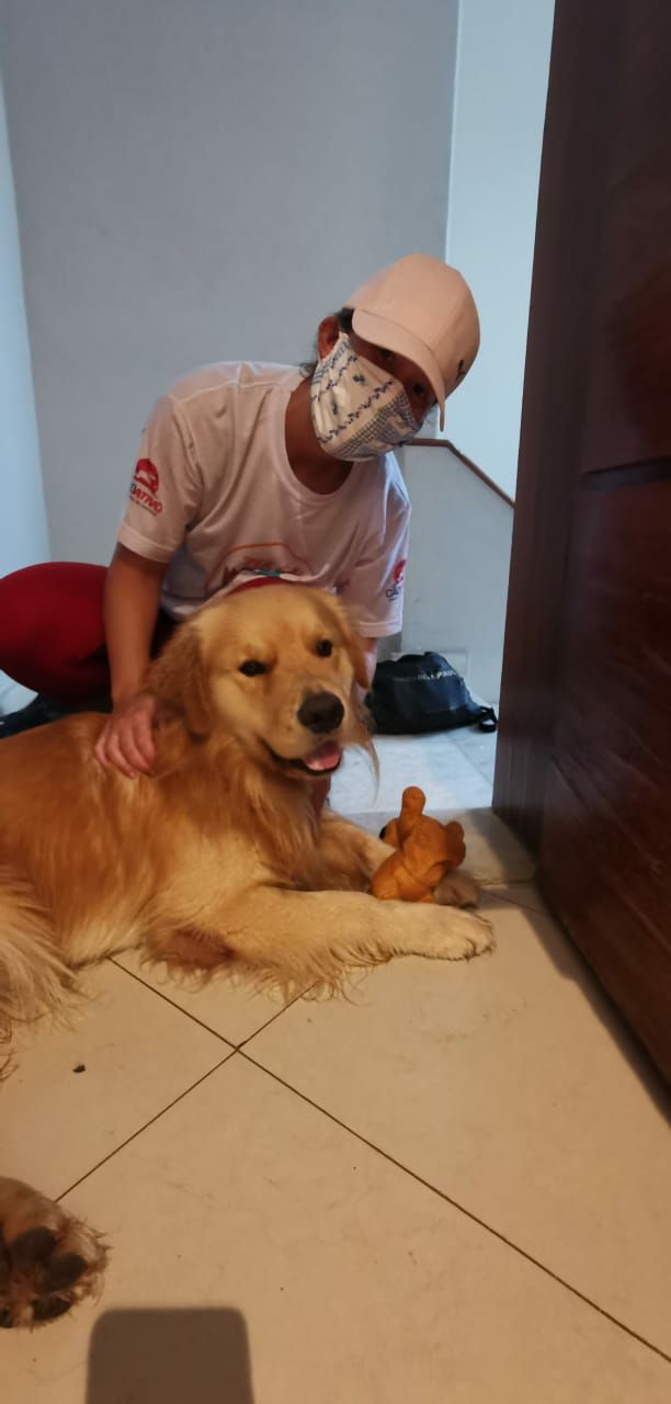 Imagem Helper