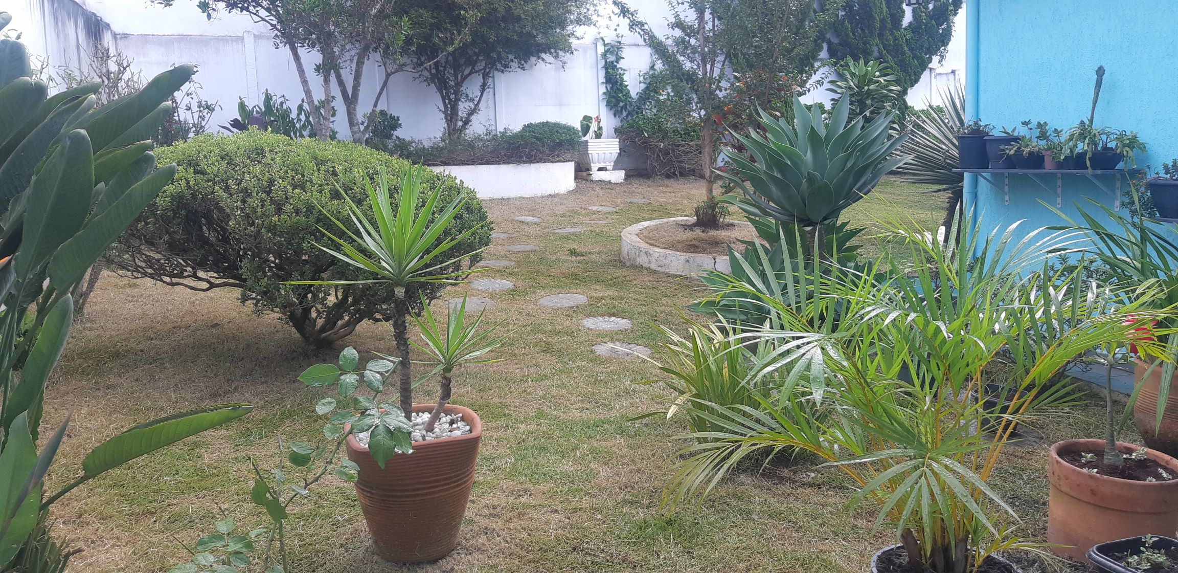 Ezequias Paulo Oliveira