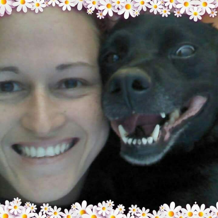Imagem Helper