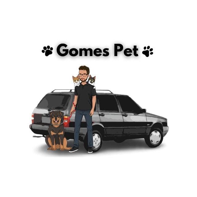 Gabriel Luis Gomes Gonçalves