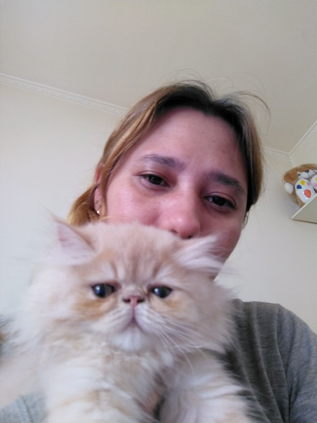 Imagem Helper