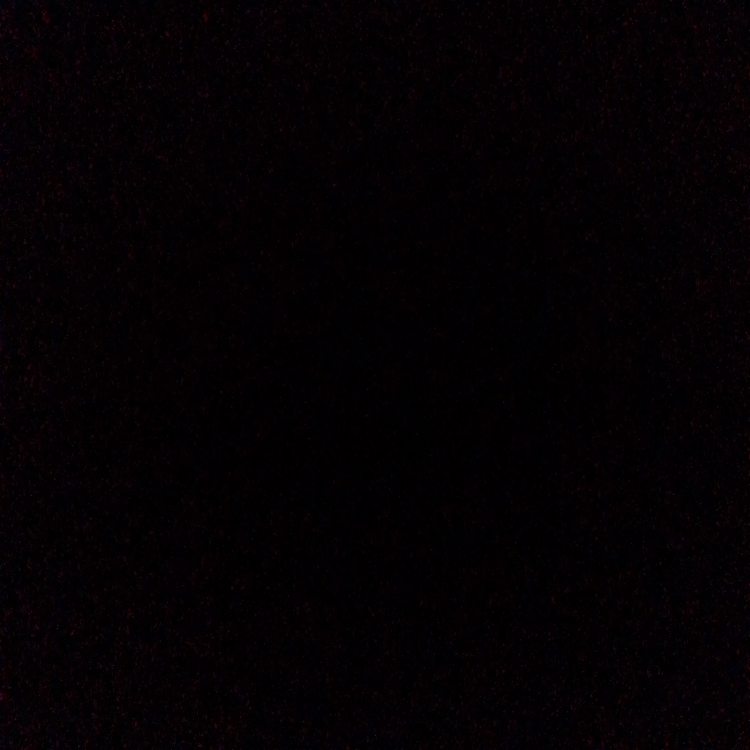 Luana Patrão Leme Dutra