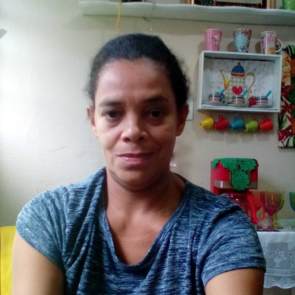 Sandra Aparecida Ferreira de Brito