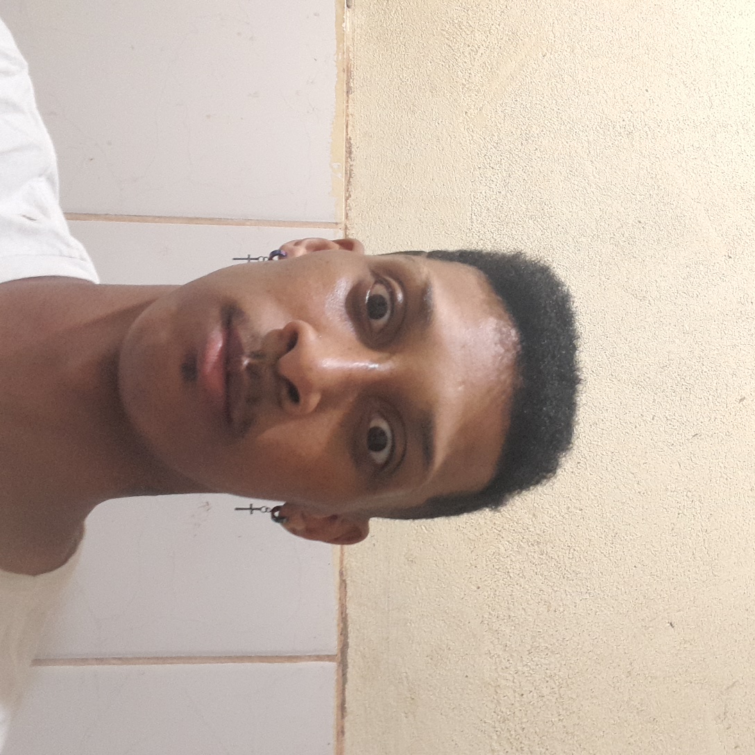 JOAO VITOR DOS SANTOS FERNANDES