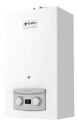 Calefont ionizado tiro natural 6 lt gas natural ATMD Albin Trotter