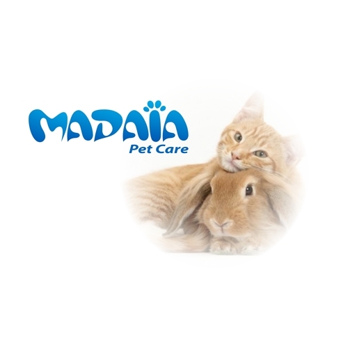Comprar Logotipo + Cartão + Manual