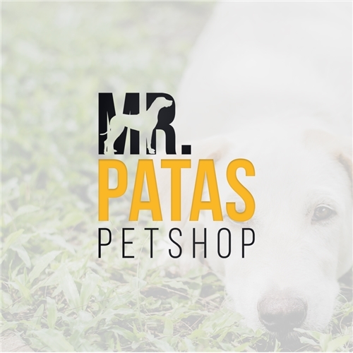 Comprar Logo e Papelaria (6 itens)
