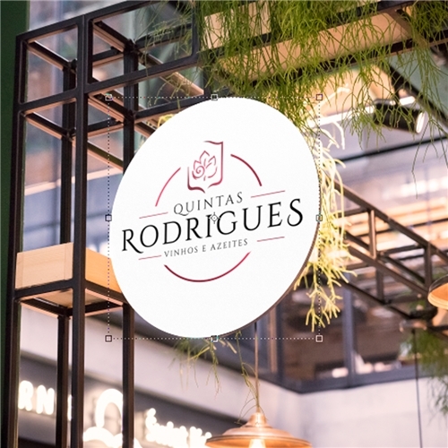 Comprar Logo e Papelaria (6 itens)