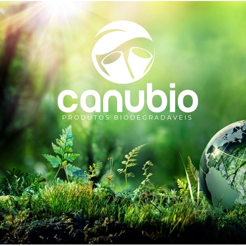 Comprar Logo e Papelaria (6 itens)
