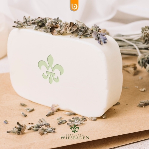 Comprar Projeto Combo top of mind