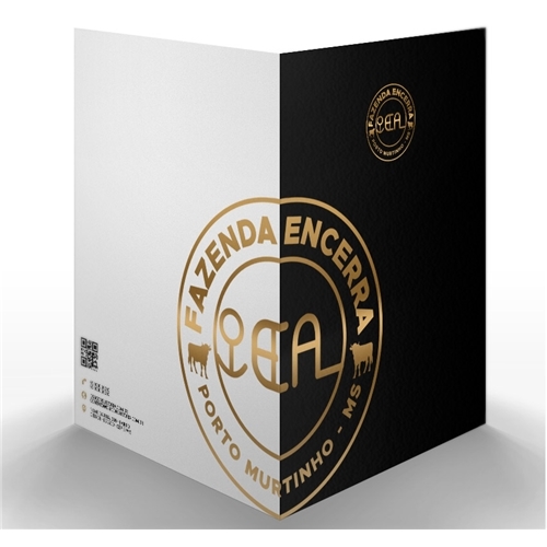 Comprar Logo e Papelaria (6 itens)