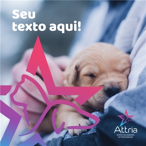 Comprar Kit com 6 Layouts de Post para Redes Sociais (Facebook, Instagram e etc)