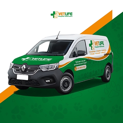 Comprar Envelopamento de carro, caminhão e van