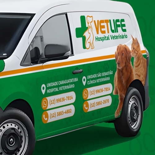 Comprar Envelopamento de carro, caminhão e van