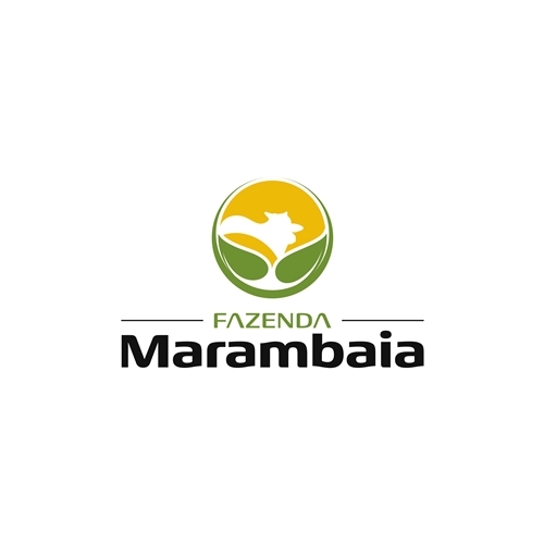 Comprar Logo