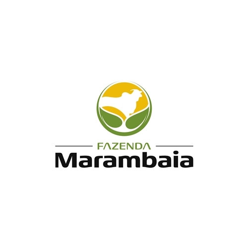 Comprar Logo