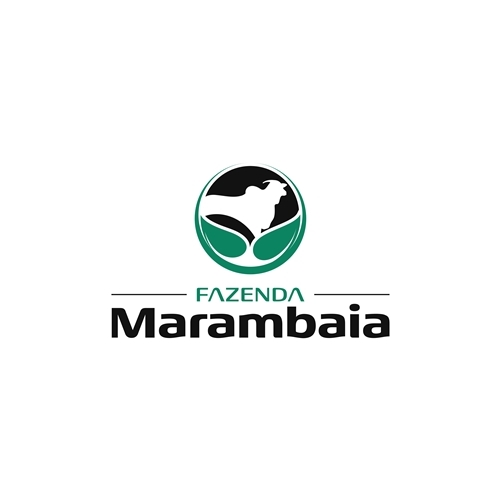 Comprar Logo