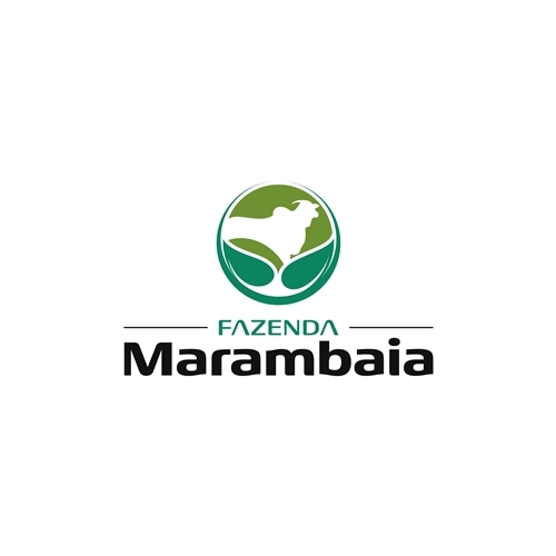 Comprar Logo