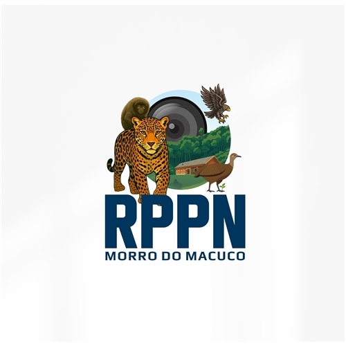 Comprar Logo