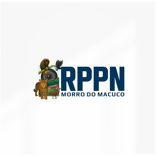 Comprar Logo