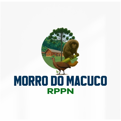 Comprar Logo