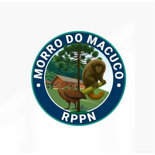 Comprar Logo